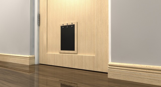 Cat Flap Installation Carshalton, Carshalton Beeches, SM5