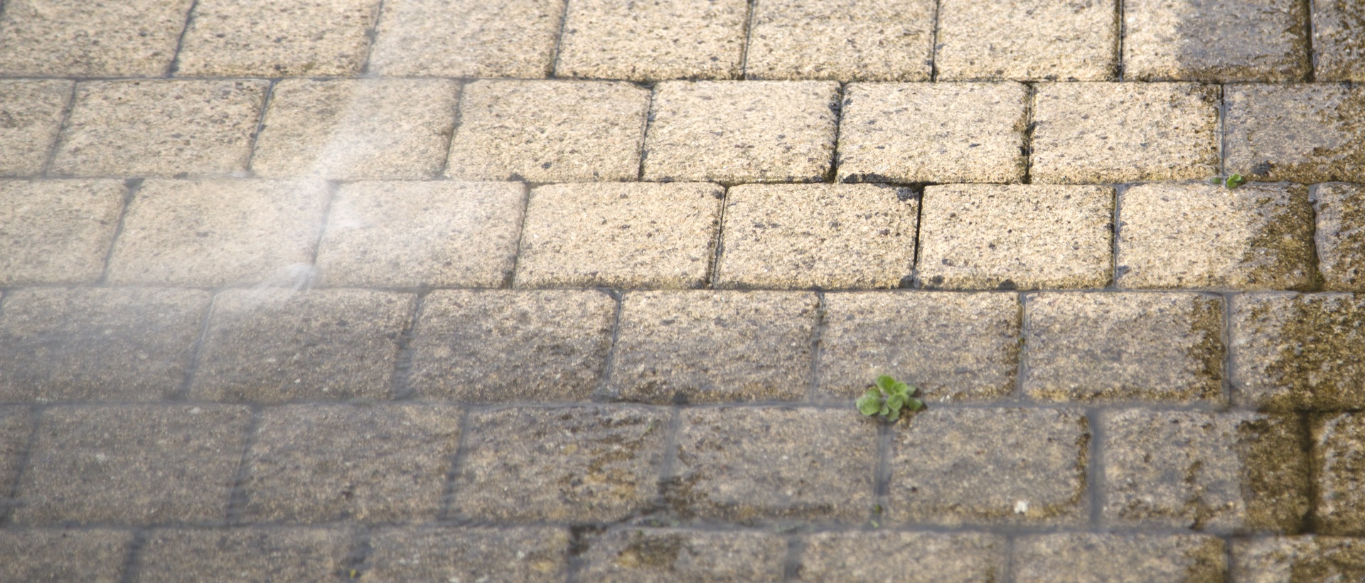 flagging and patios SM5